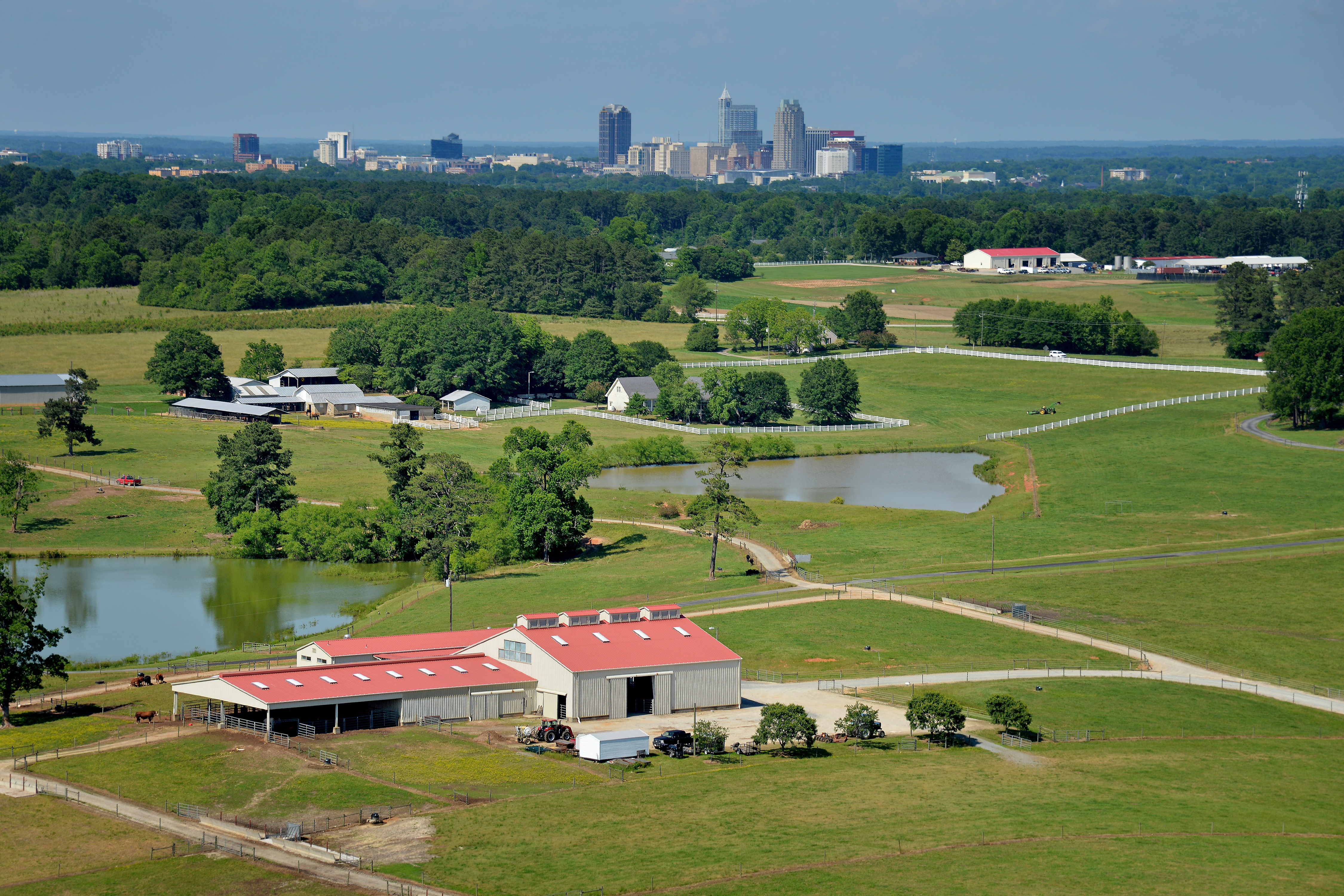 Beef Unit at the Lake Wheeler Farms with Raleigh city skyline.